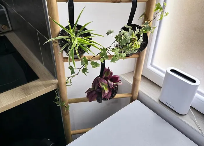 Un Pied-a-terre * Millau